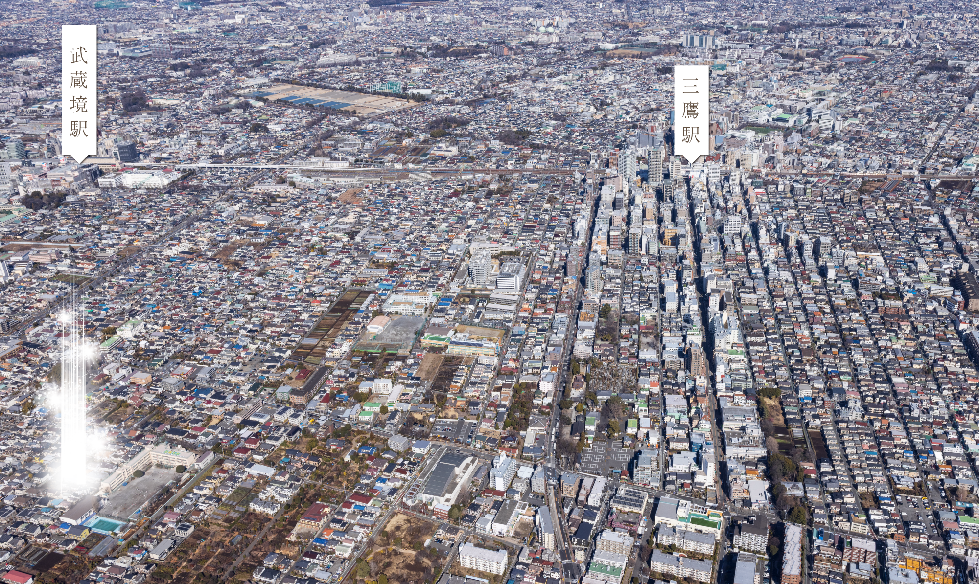 井の頭公園付近の俯瞰写真