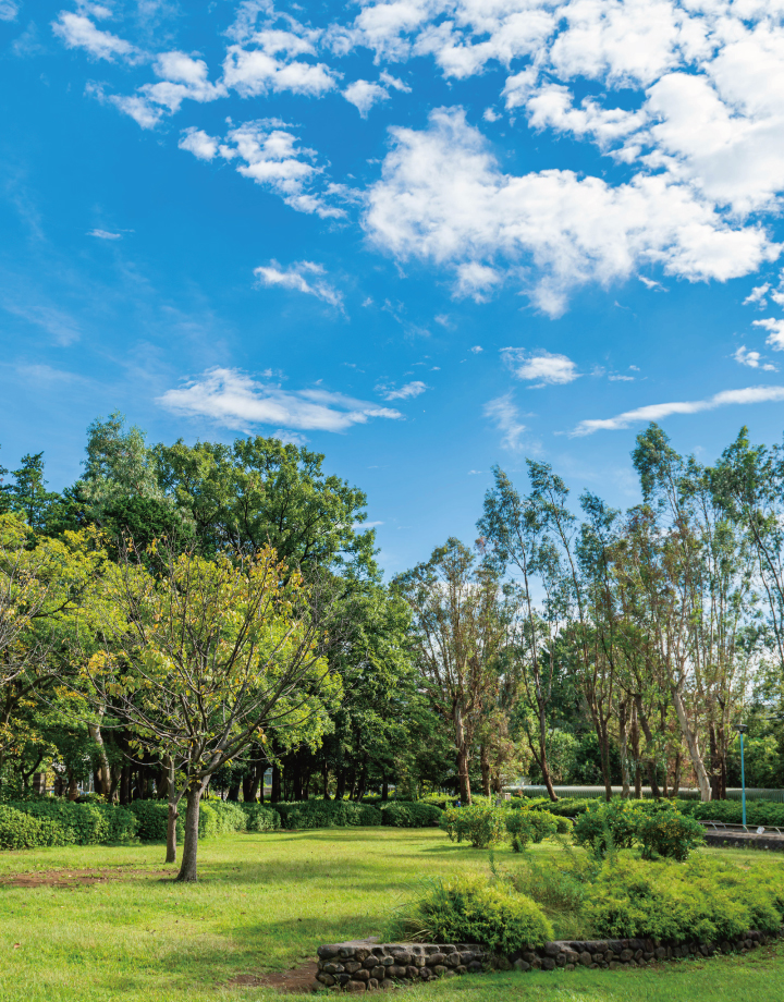 松戸中央公園